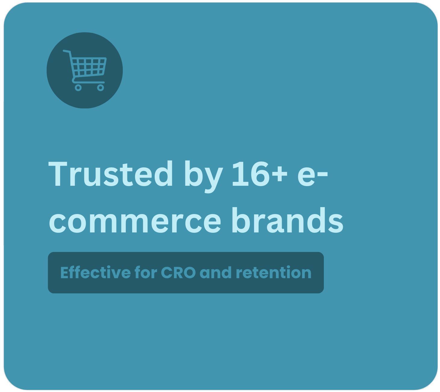 Trusted by e-commerce brands